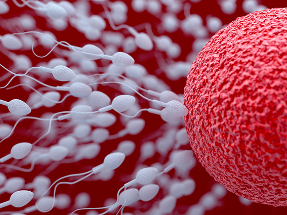 Анализ на фрагментацию ДНК сперматозоидов